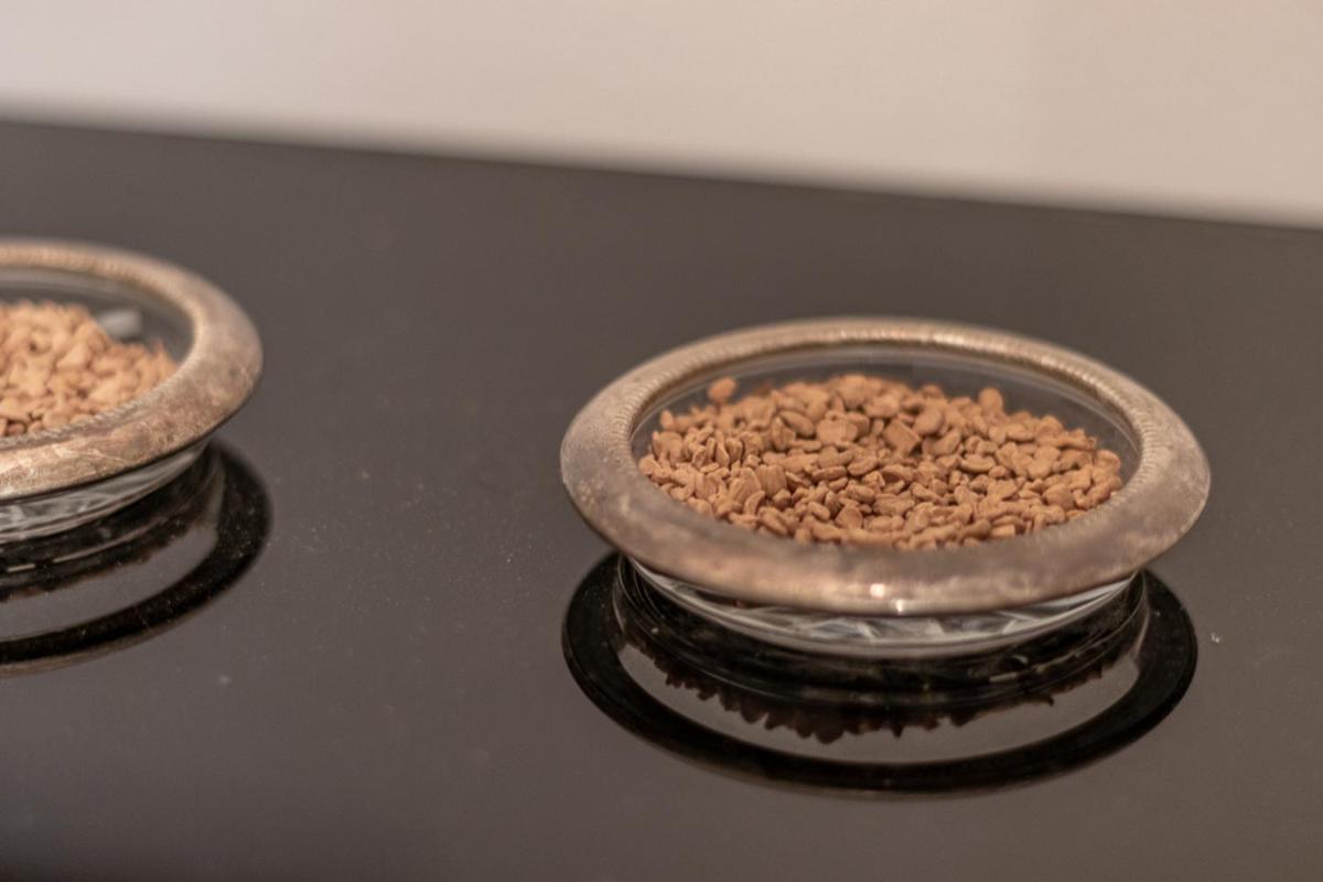 Oleaclub Locazione Turistica