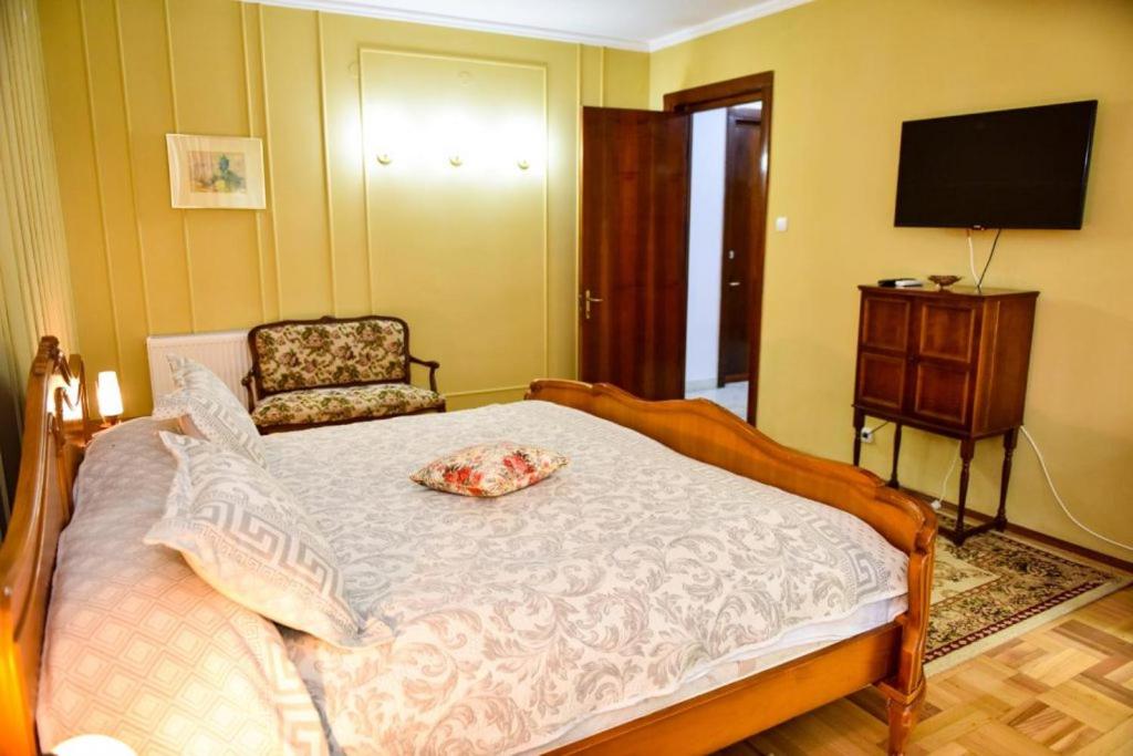 Former Ceausescu's Vila Crizantema