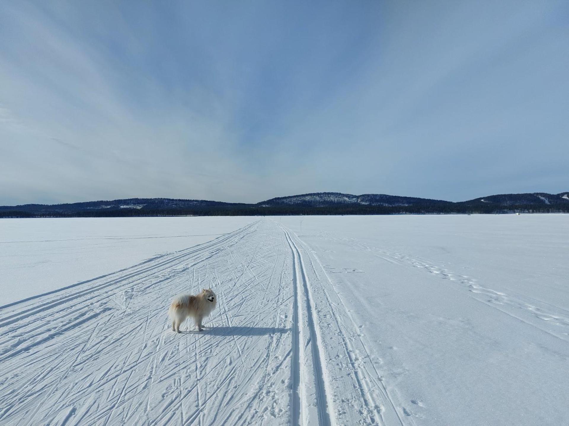 Holiday Home Honkakoli 1