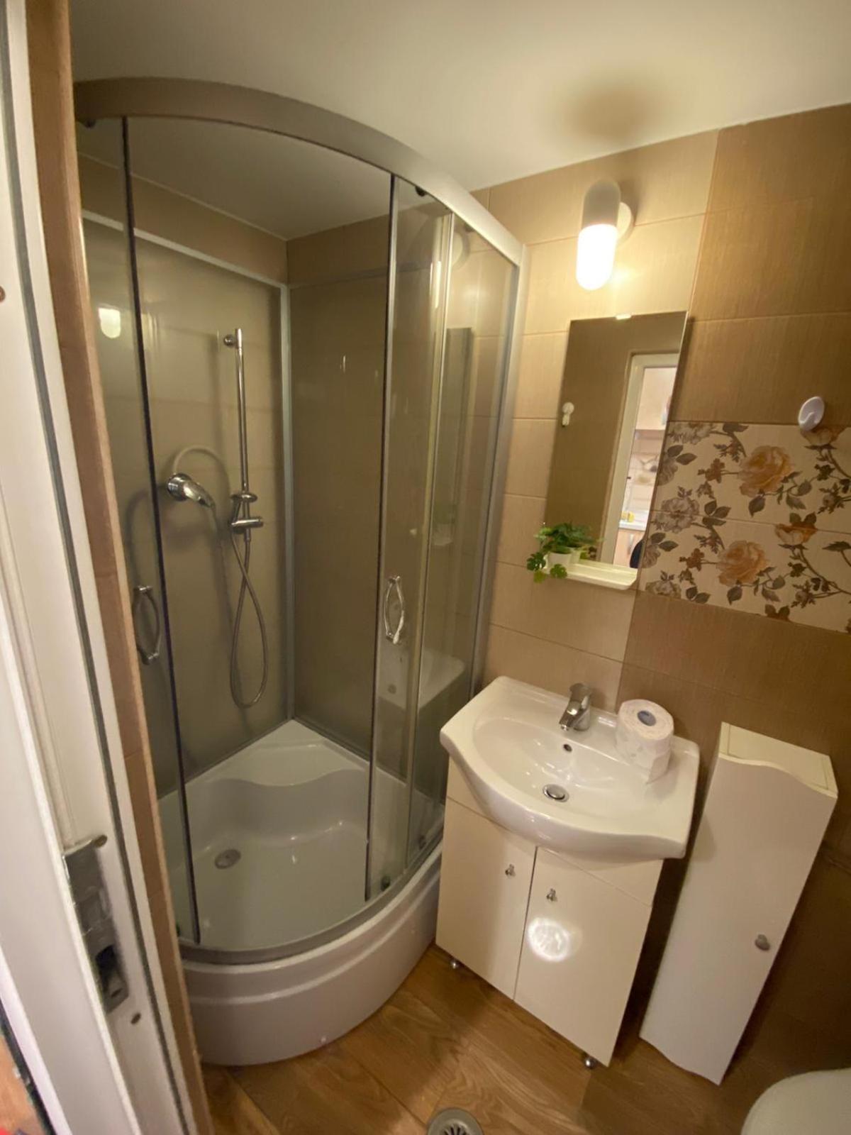 Lions Studio Dristor II