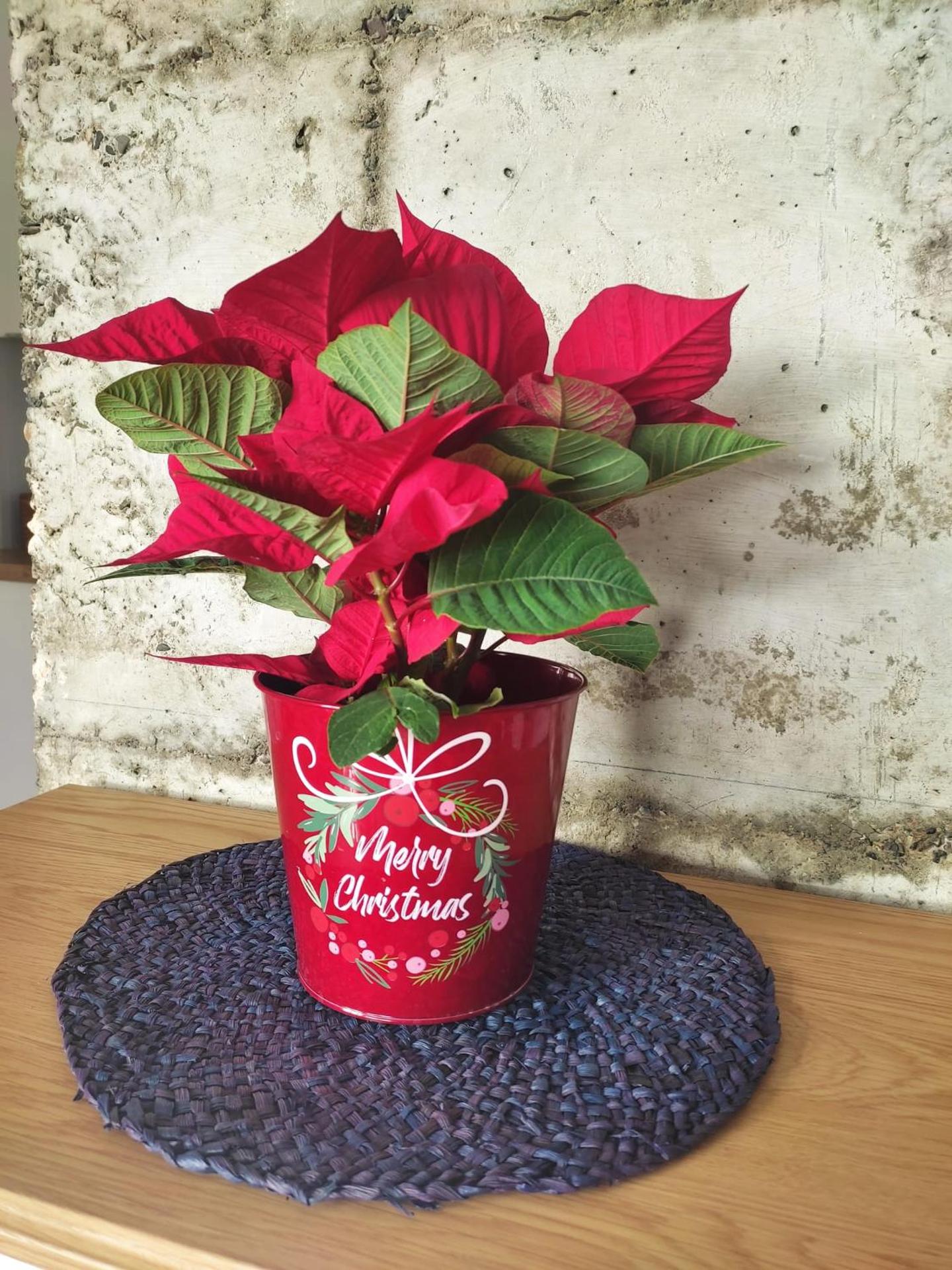 Una ventana al Mar en Málaga