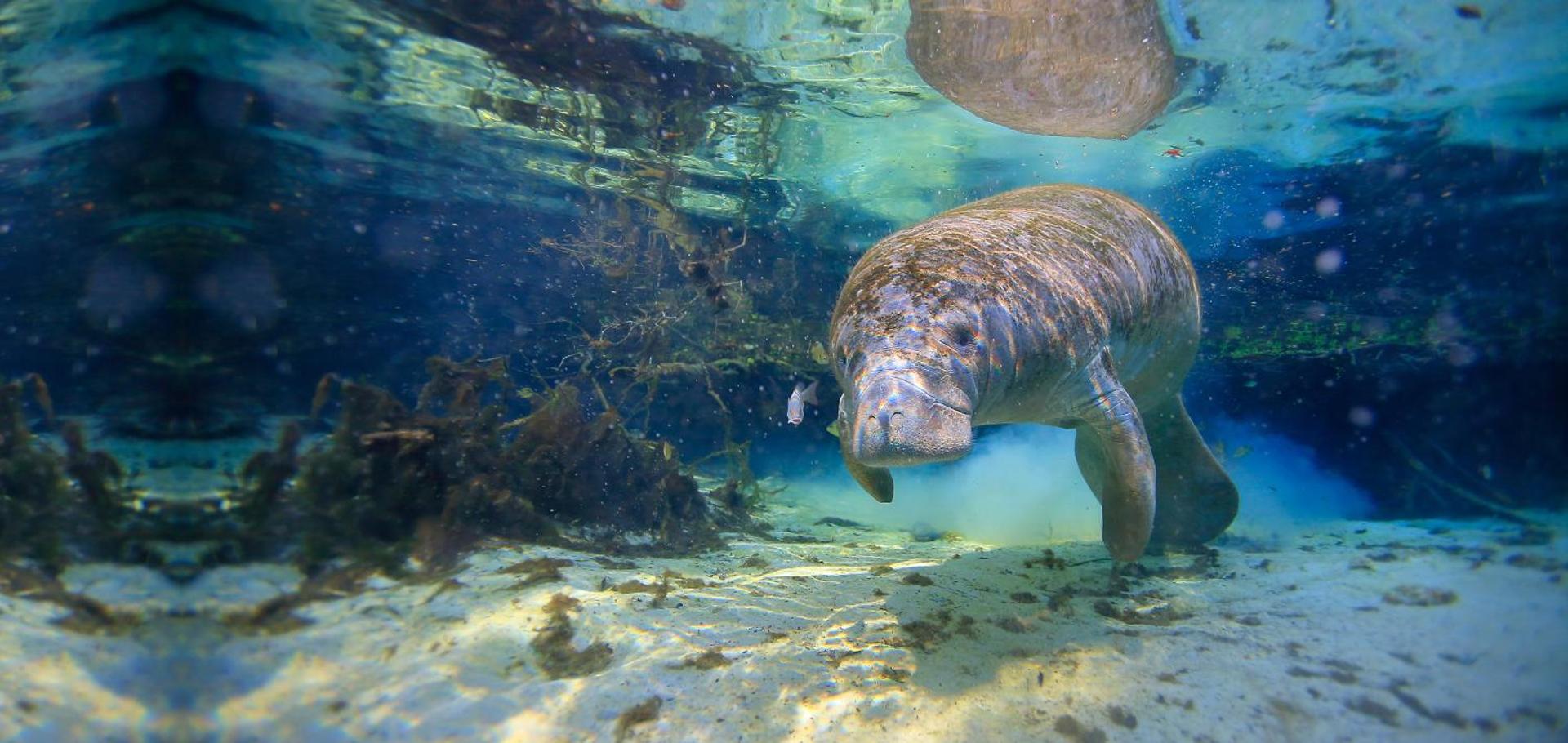 Beach Bungalow By The Sea 4