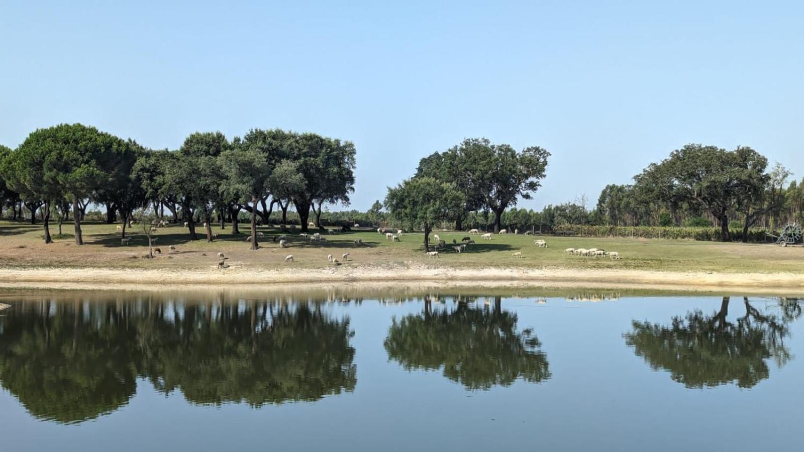 Monte do Lago, Pegões