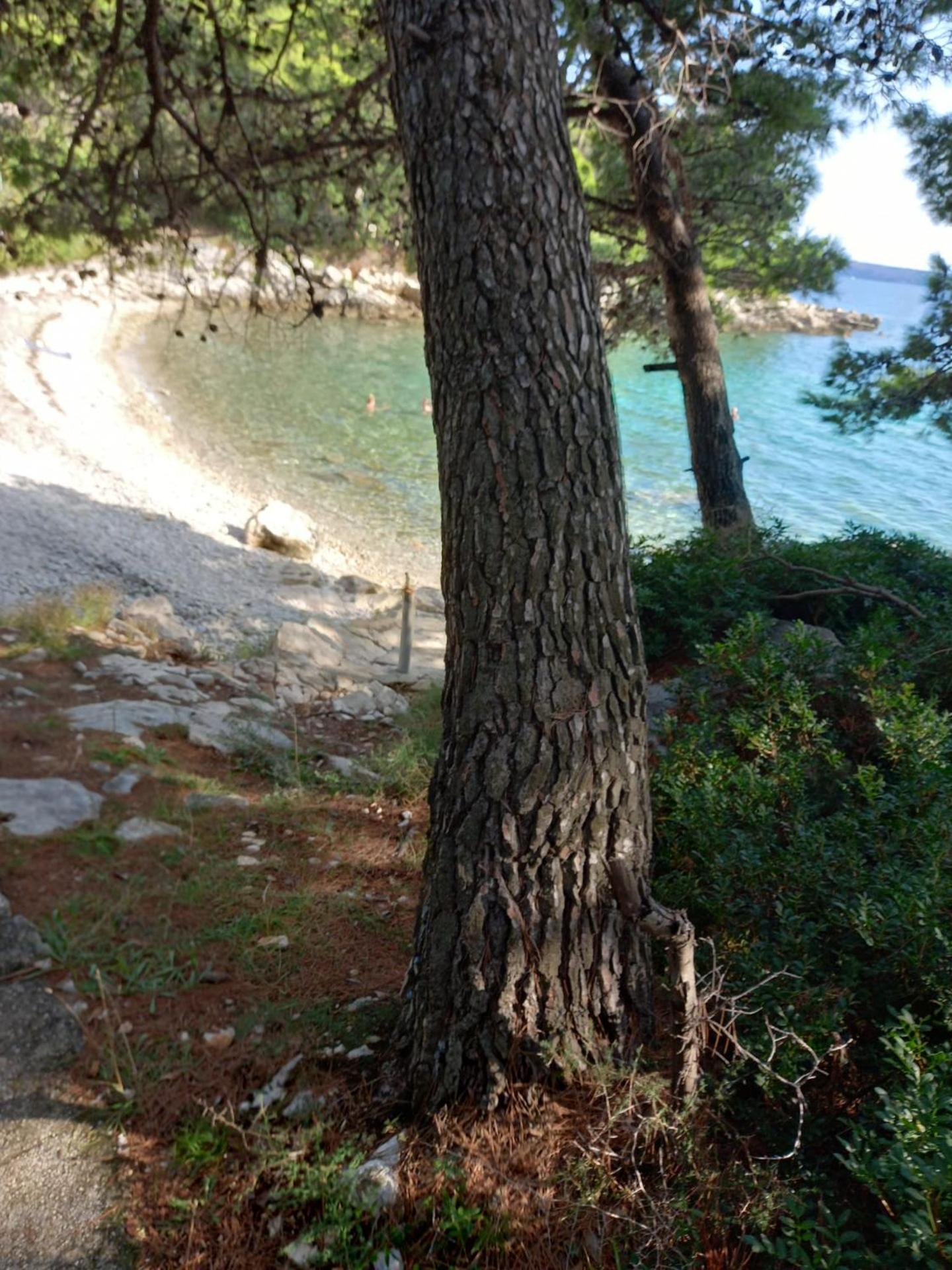 Appartment IVA Kampor