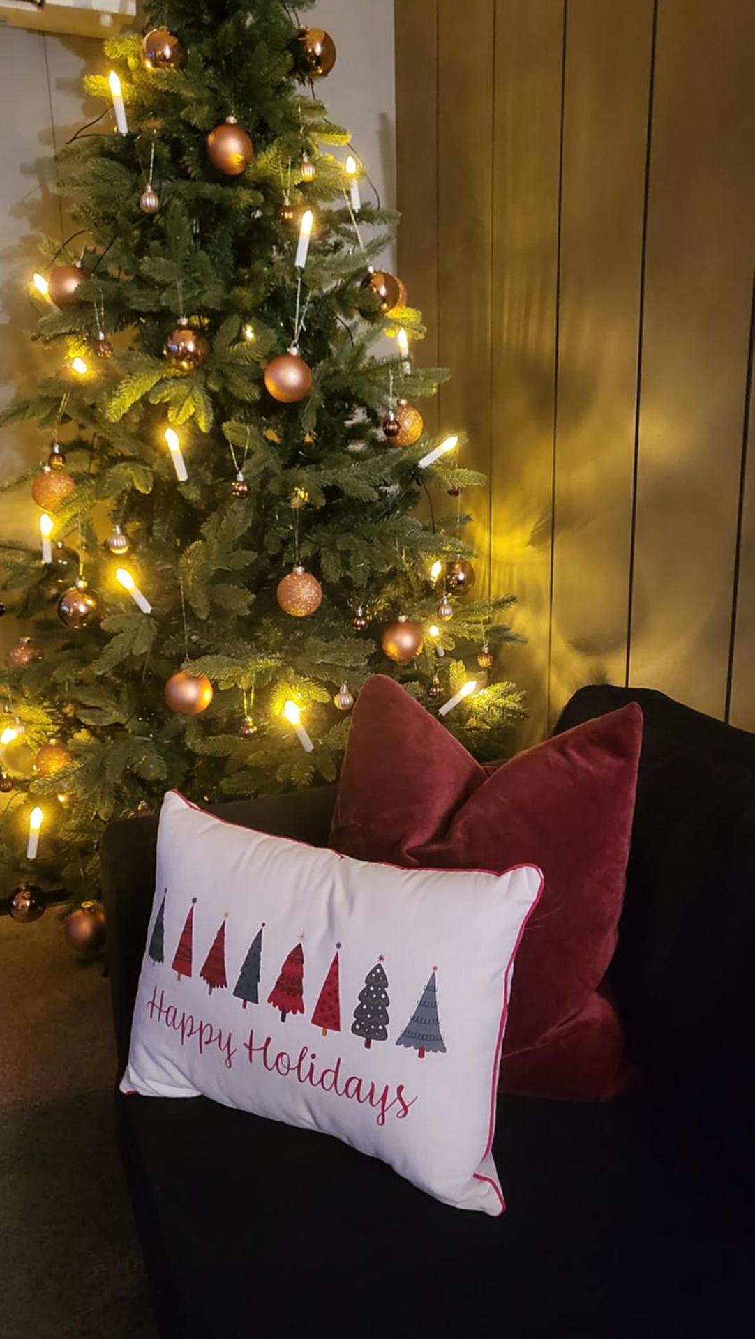 Skogro ved Norefjell