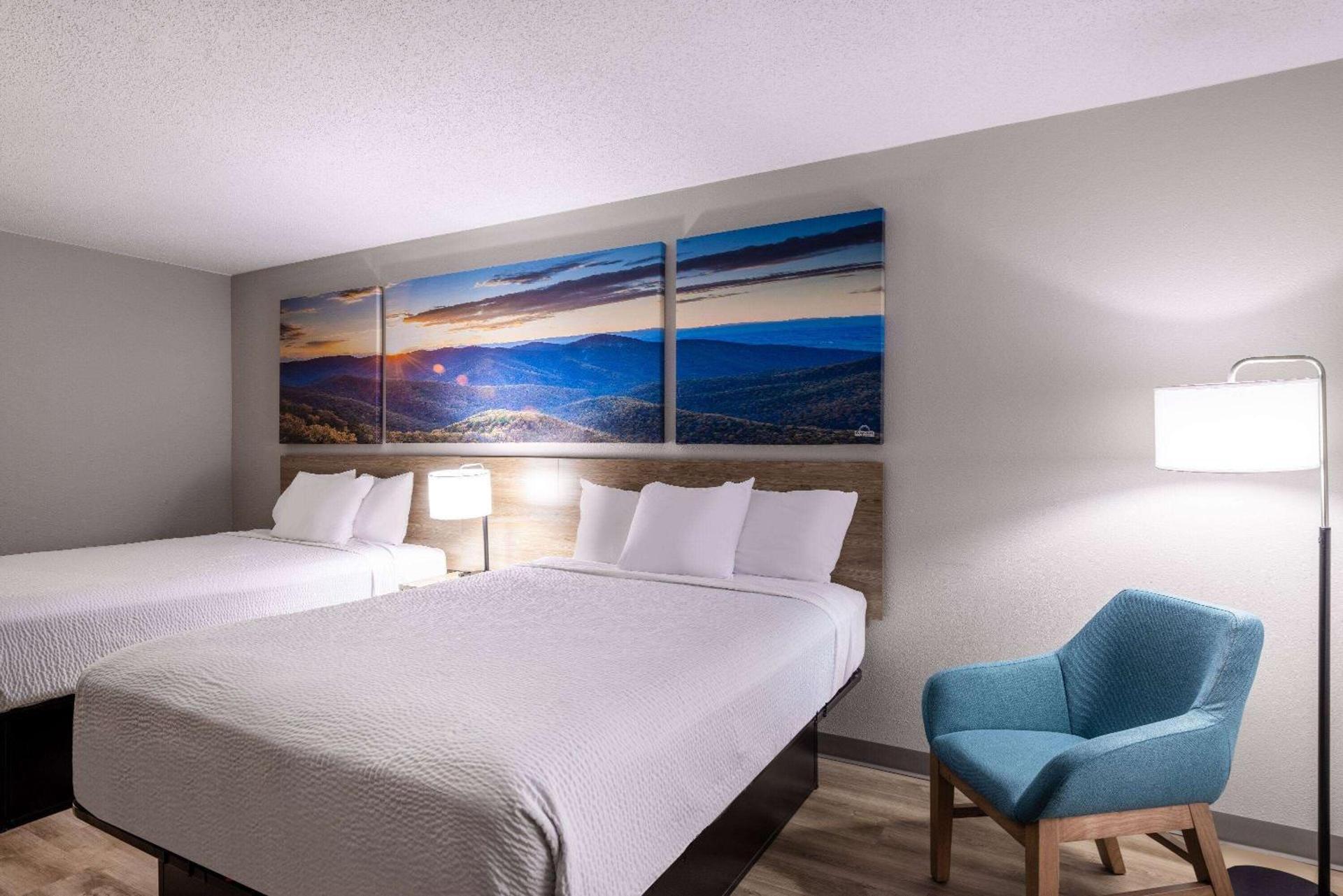 Photo of the whole room