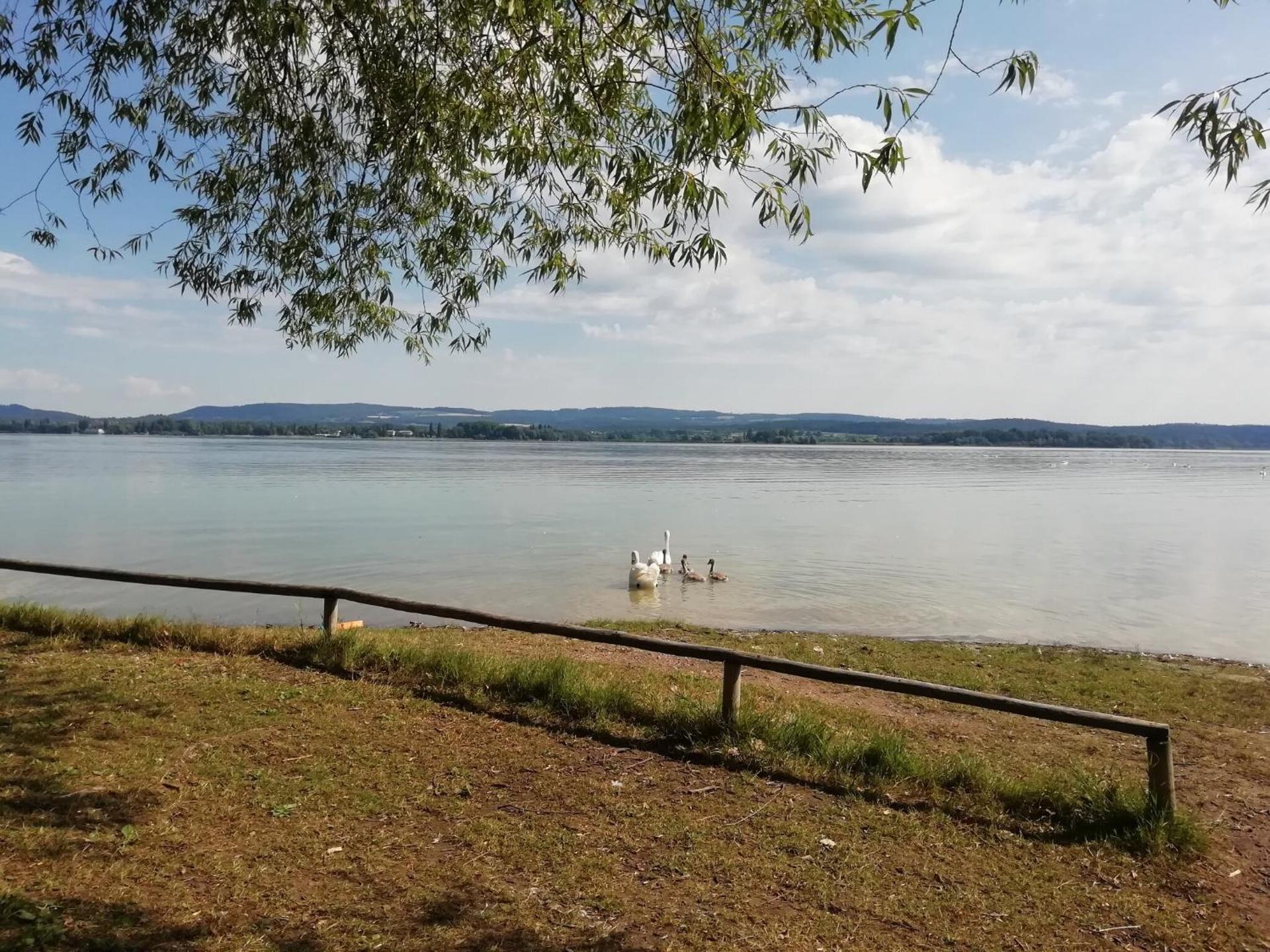 Ferienwohnung Sonnenhalde