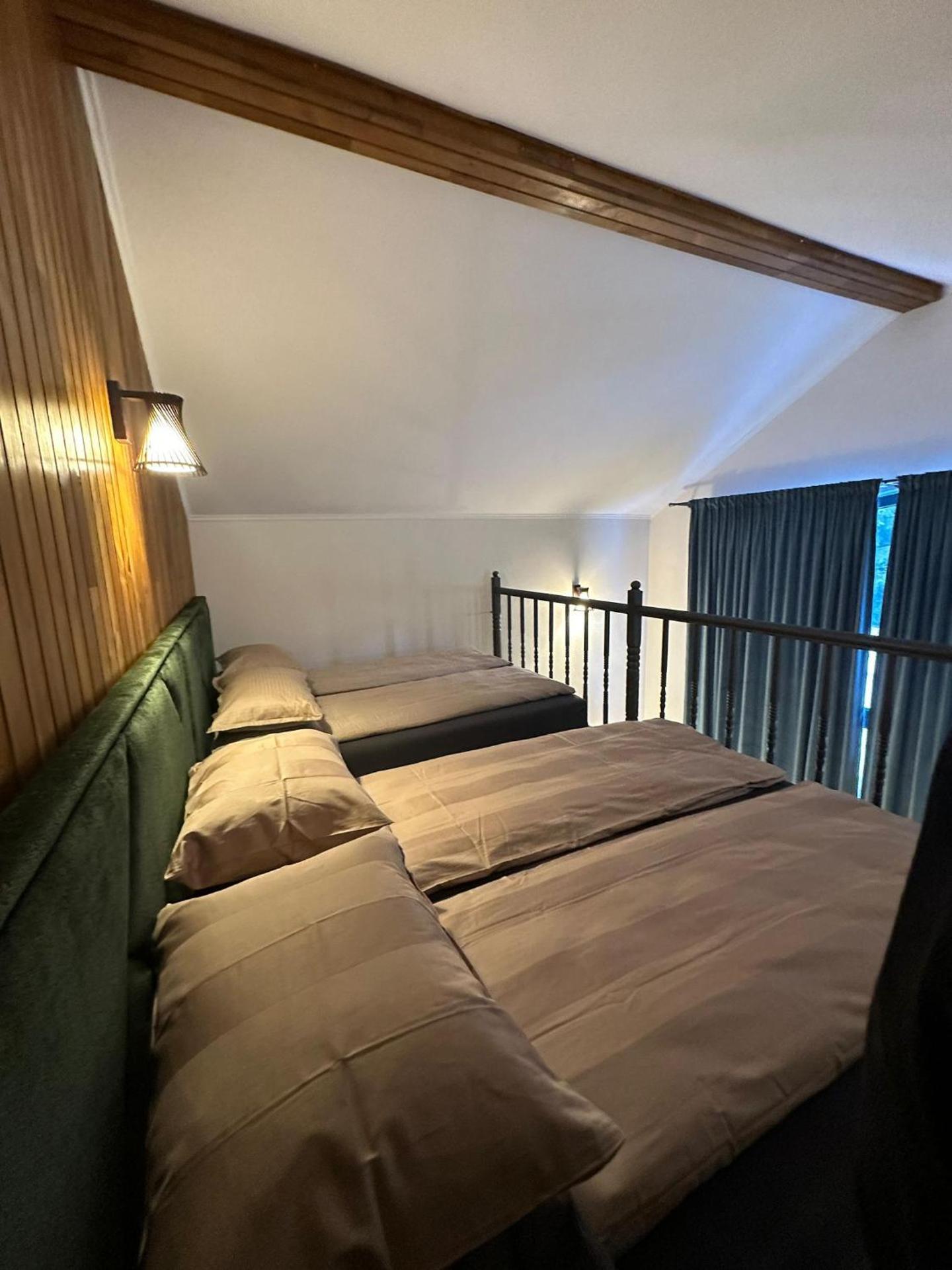 Black Wolf PĂLTINIȘ