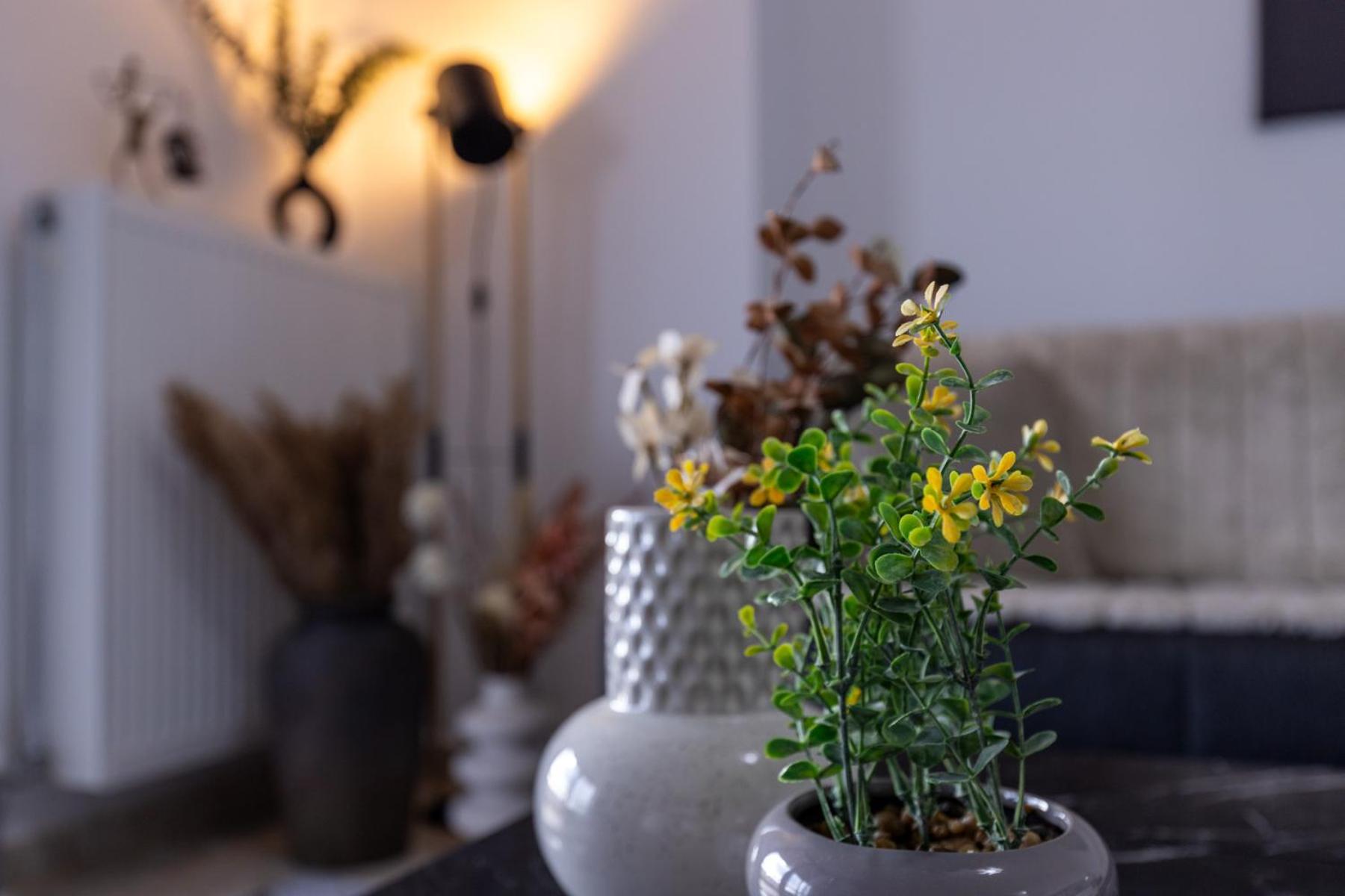 Luxury Central Apartment 2