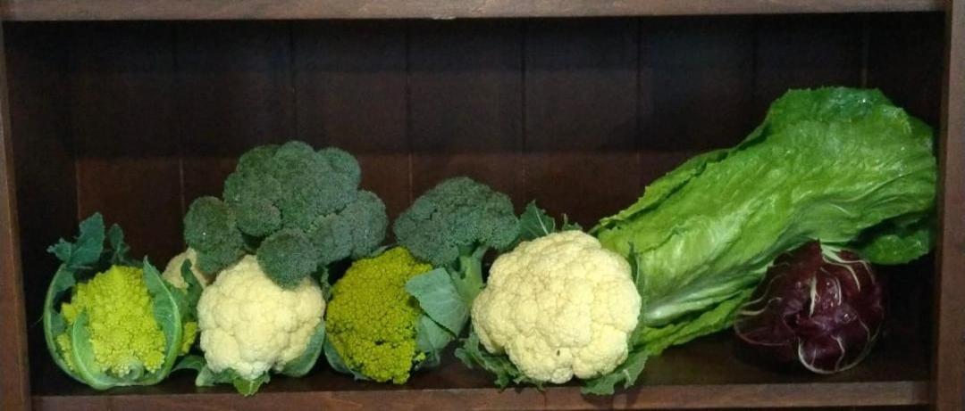 Agriturismo Al Mancino