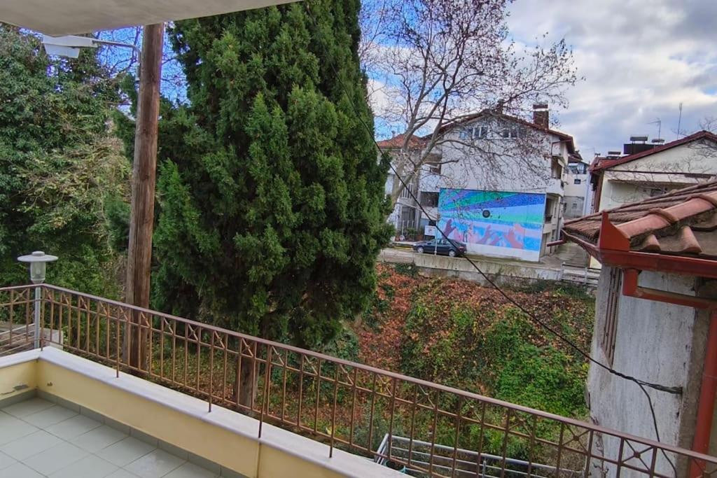 Διαμέρισμα παραποτάμια Νάουσα