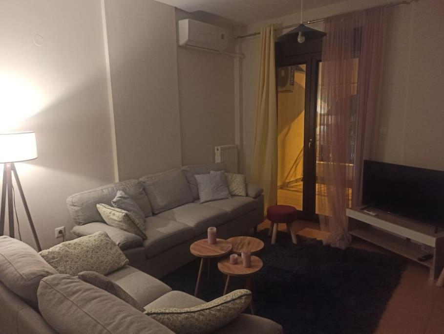 Διαμέρισμα παραποτάμια Νάουσα