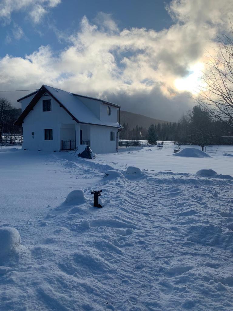 Holiday Nature House