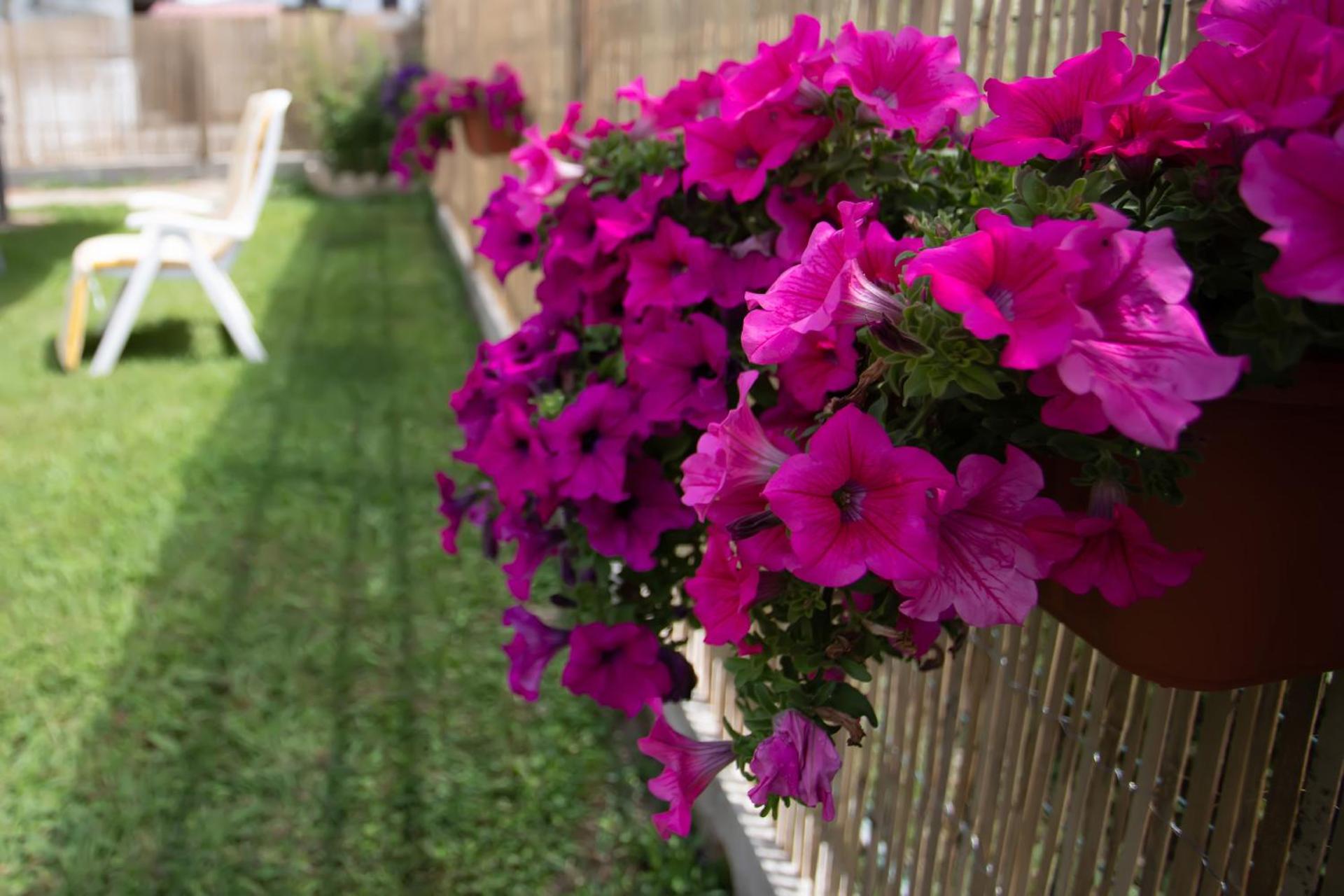 Affitti brevi GREEN HOUSE