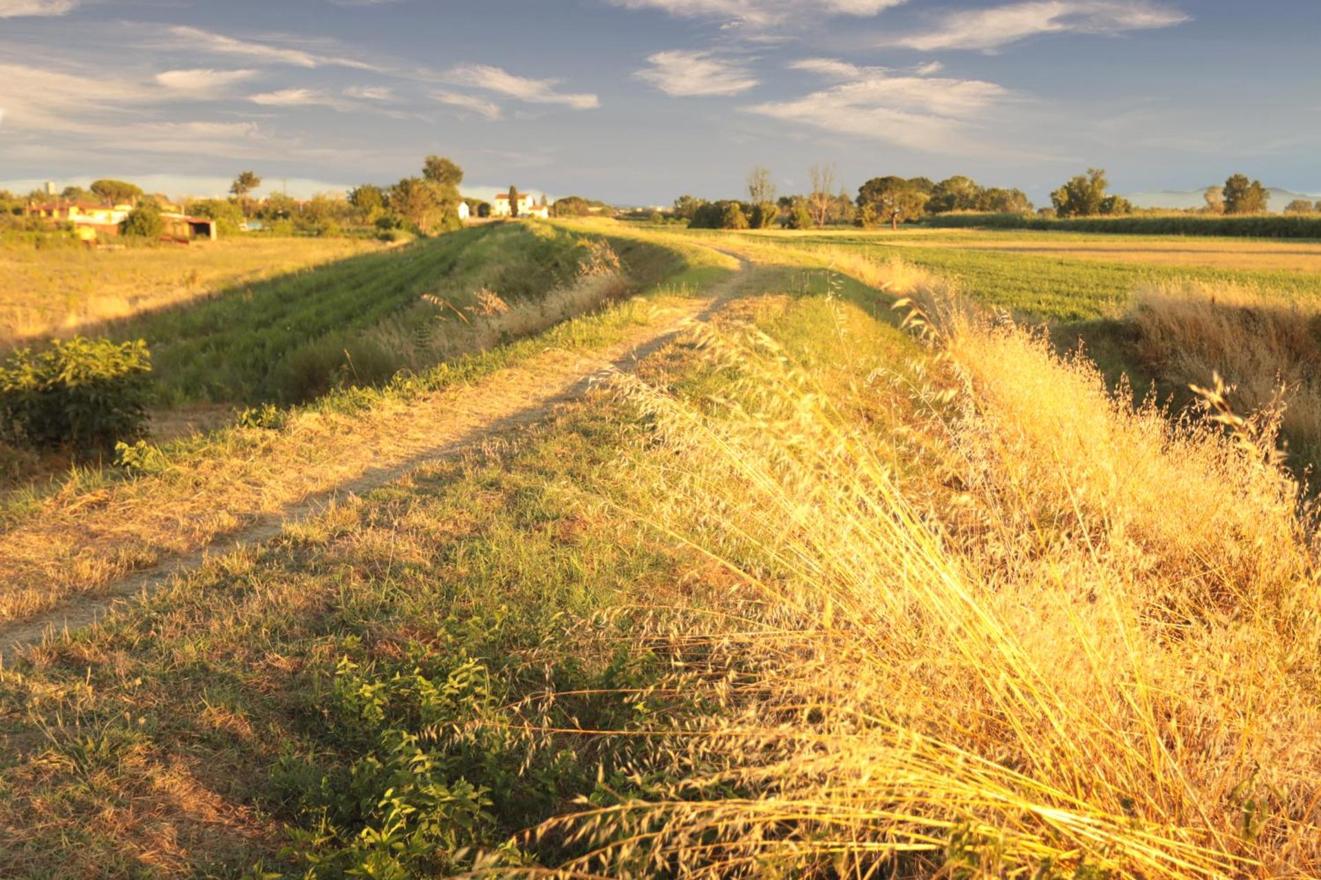 Affitti brevi GREEN HOUSE