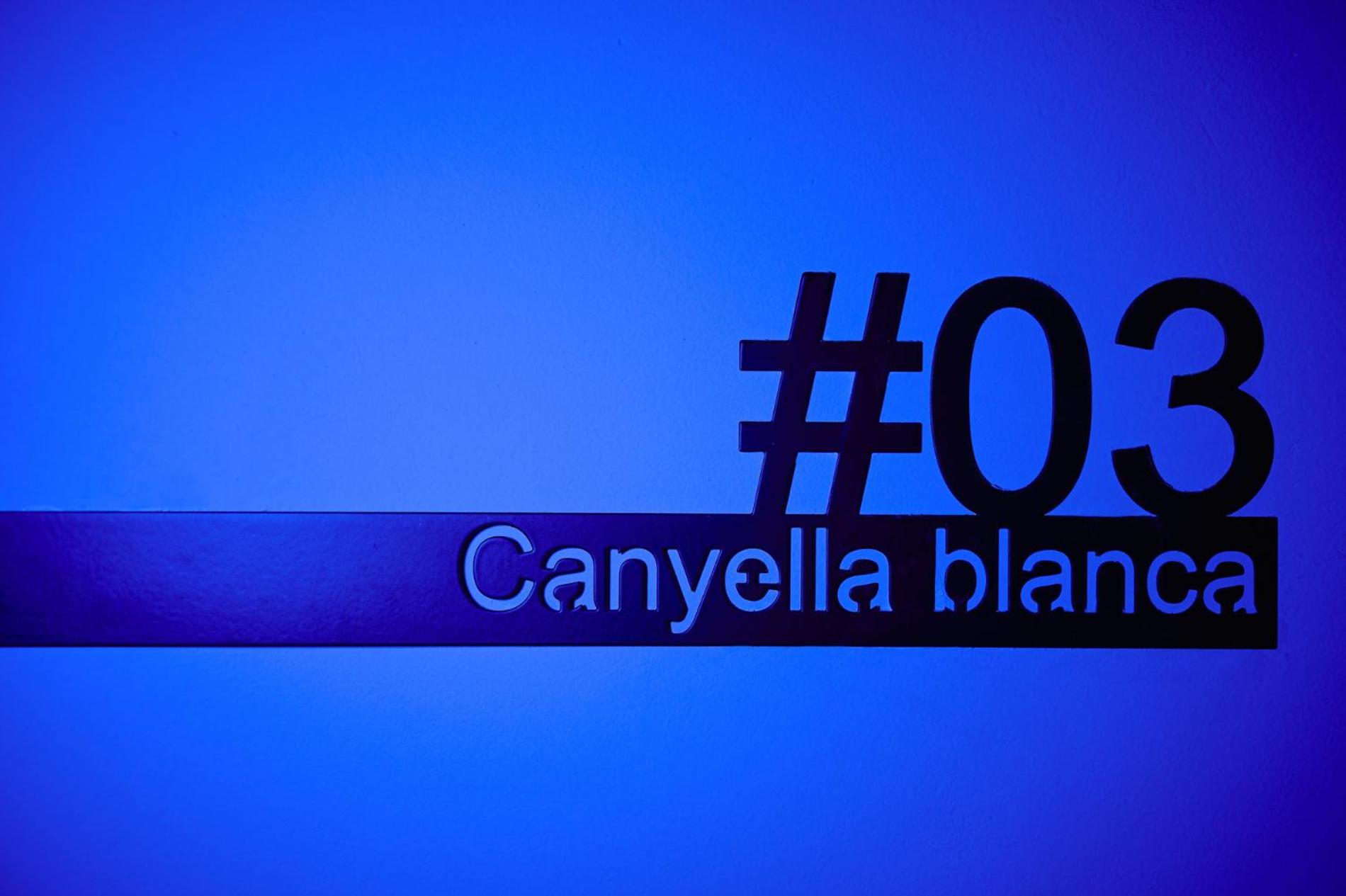 Dormsy Pension Boutique