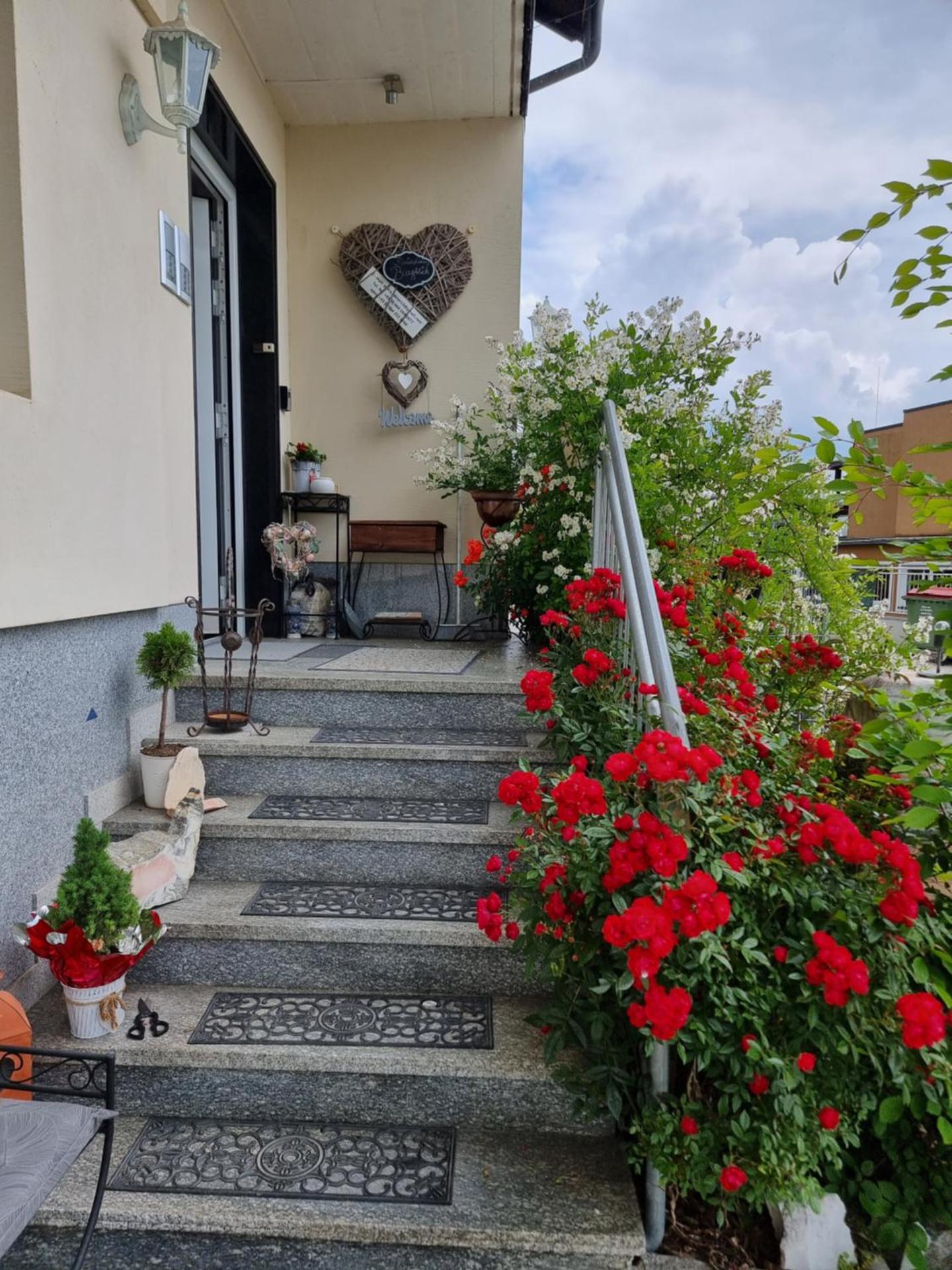 Ferienhaus Burgblick