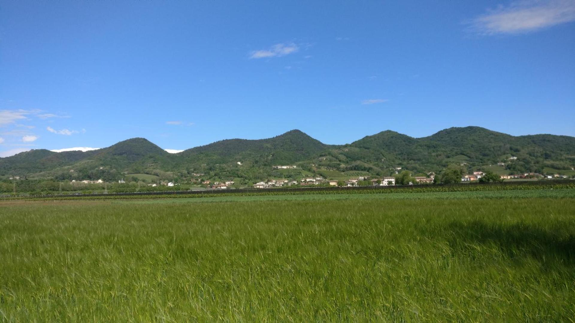 Oleaclub Locazione Turistica