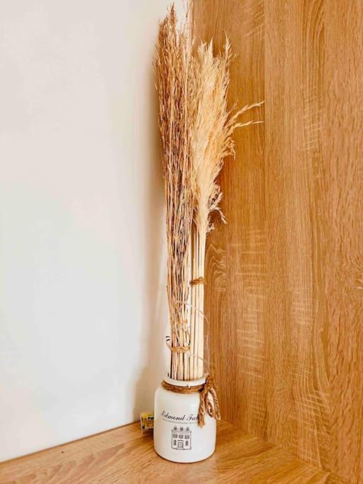 Magnifique appartement neuf 70m2 lumineux parking