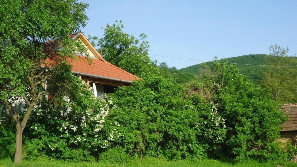 Bableves Vendégház