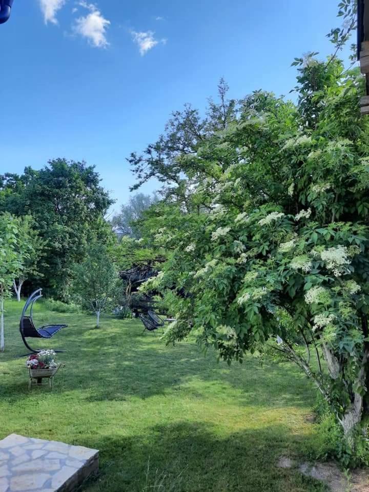 Gospic Riverside Apartment