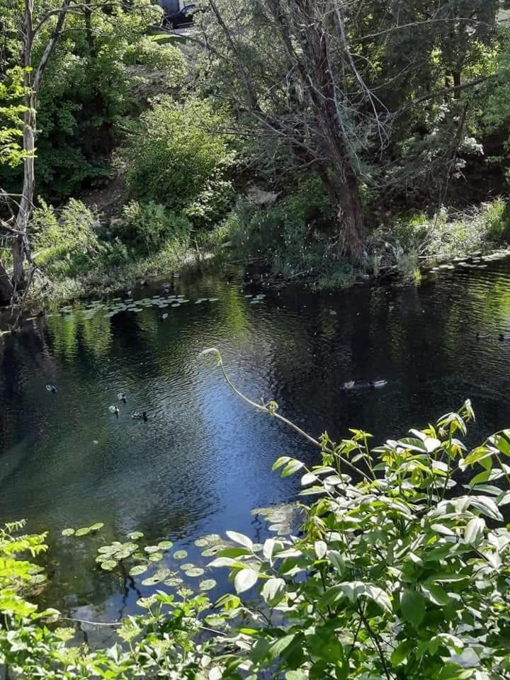 Gospic Riverside Apartment