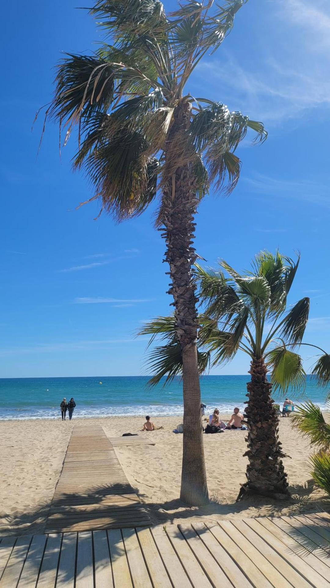 Entre el mar y PortAventura 2