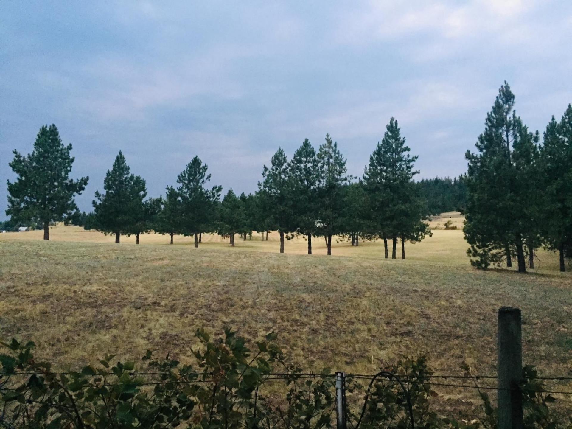 The Silverwood Lodge