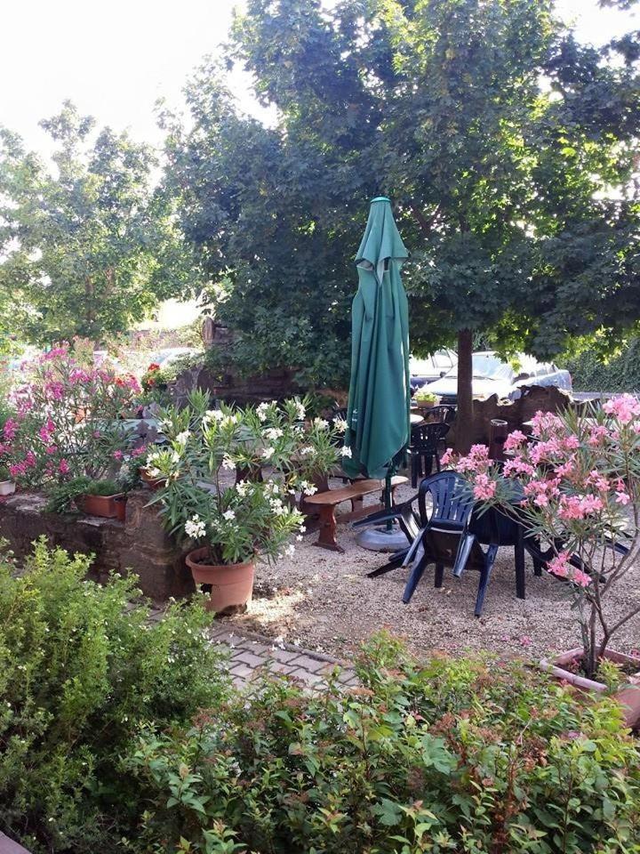 Borostyánkert Étterem & Vendégház