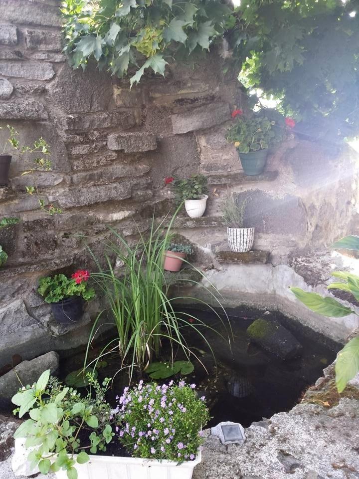 Borostyánkert Étterem & Vendégház