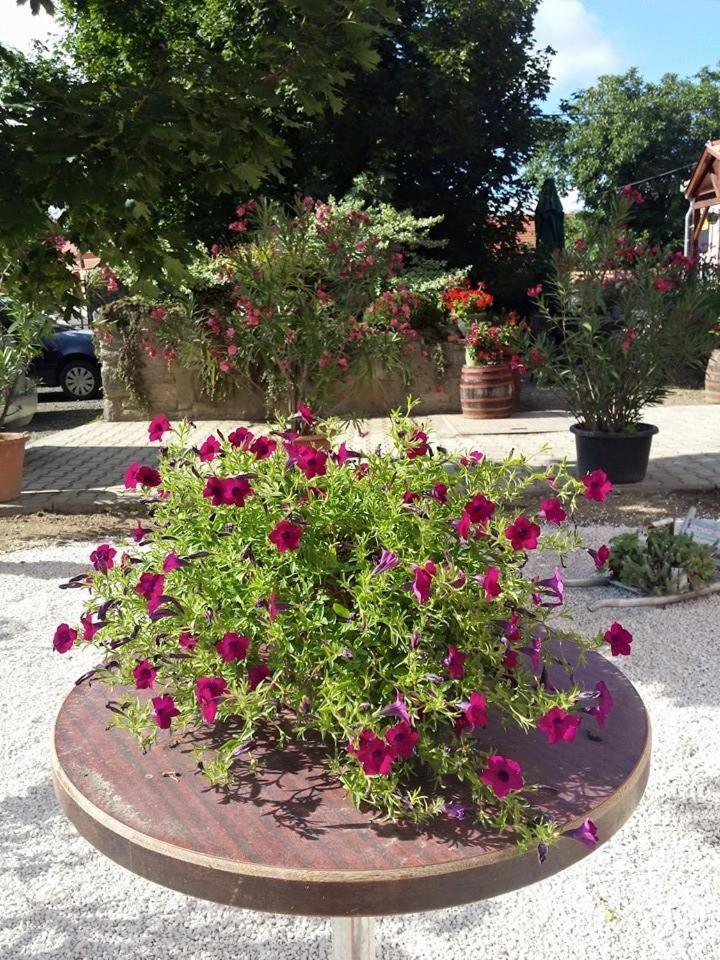 Borostyánkert Étterem & Vendégház