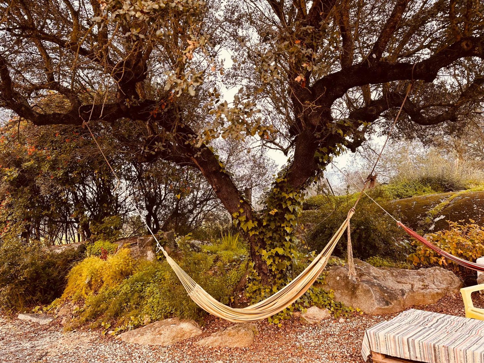 Casa Rico Frade Garden