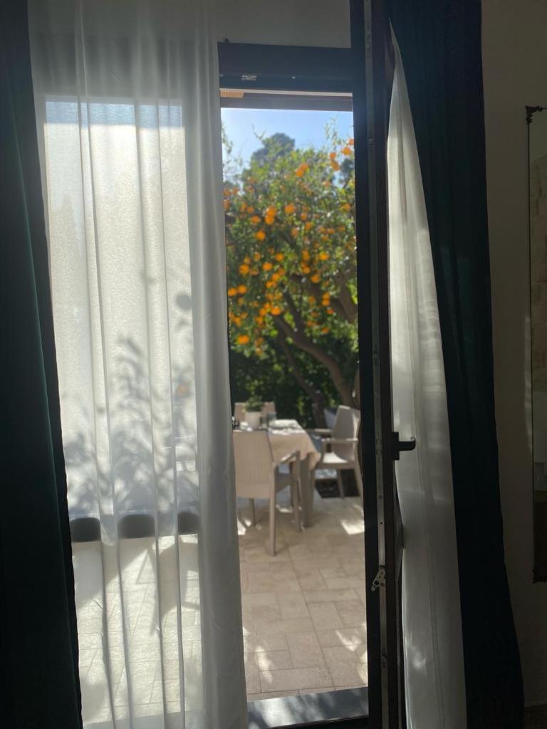 Casa vacanza Il Mandarino