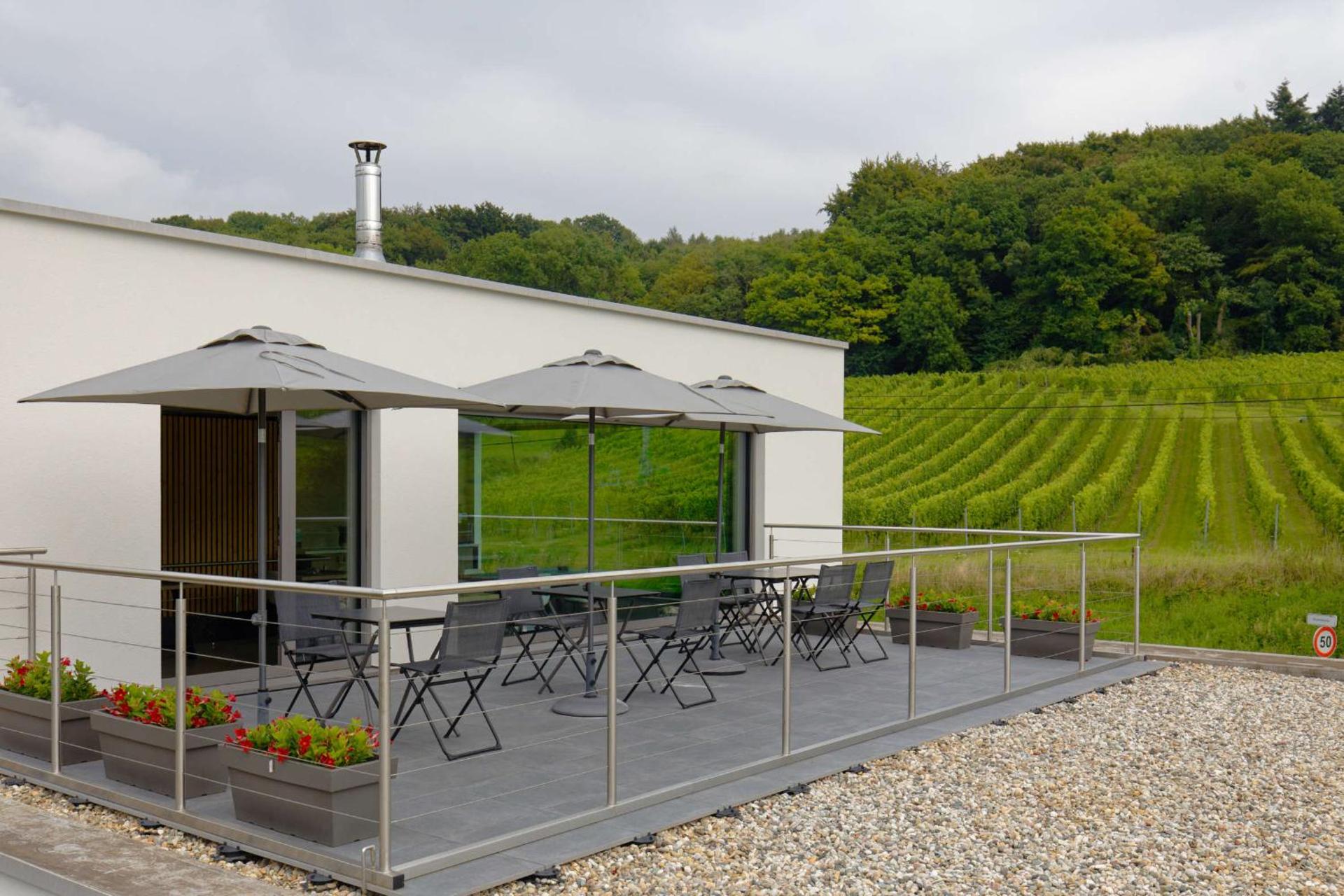 Wijndomein Zwaeneberg