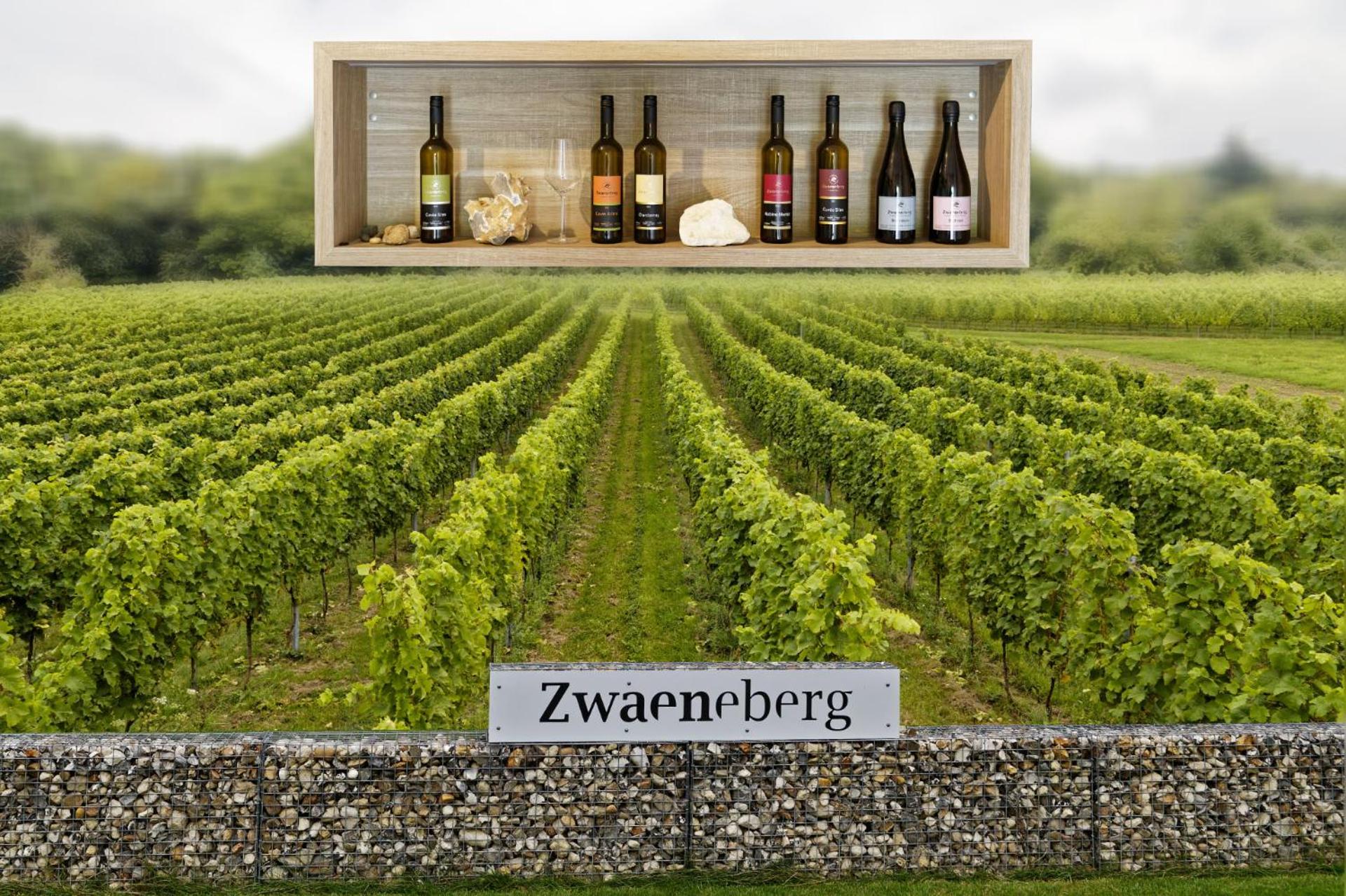 Wijndomein Zwaeneberg