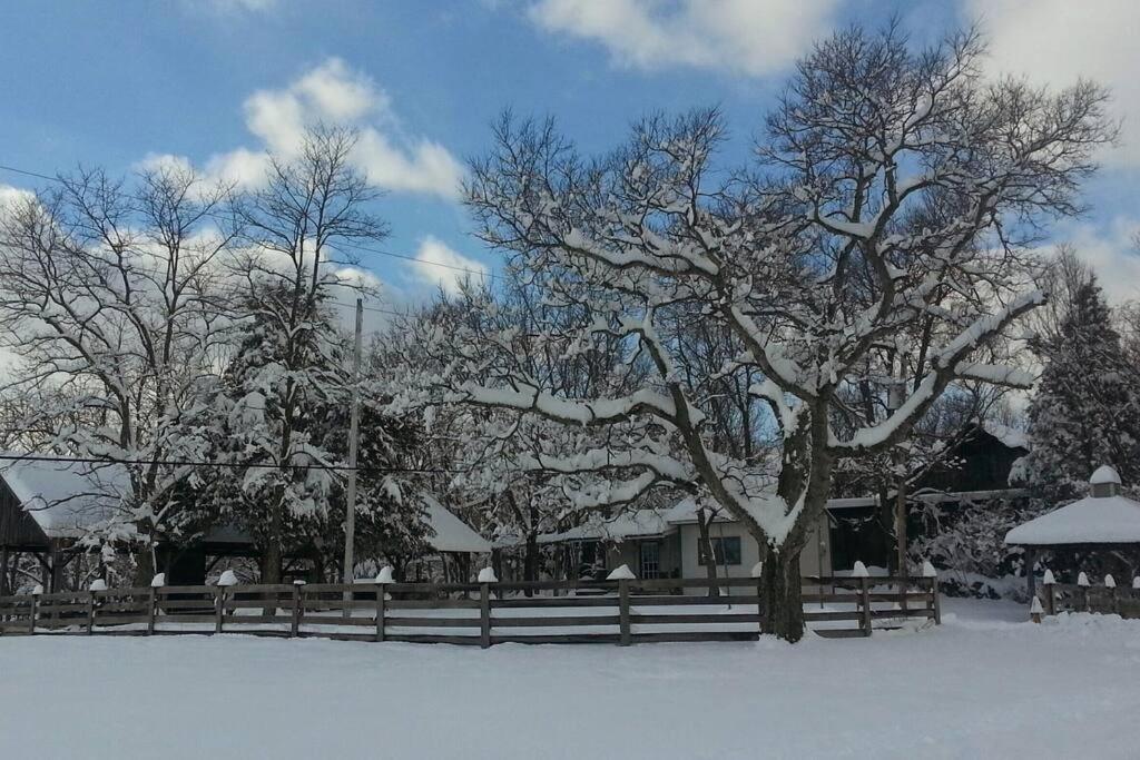 Bourbon Trail Cabin on the Farm