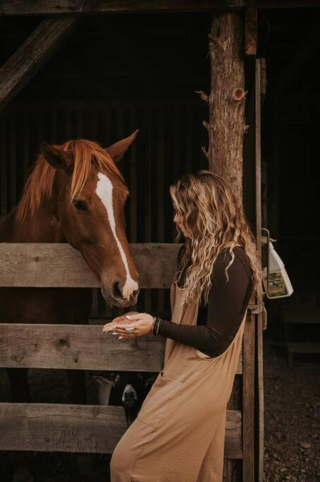 Bourbon Trail: Caboose on the Farm