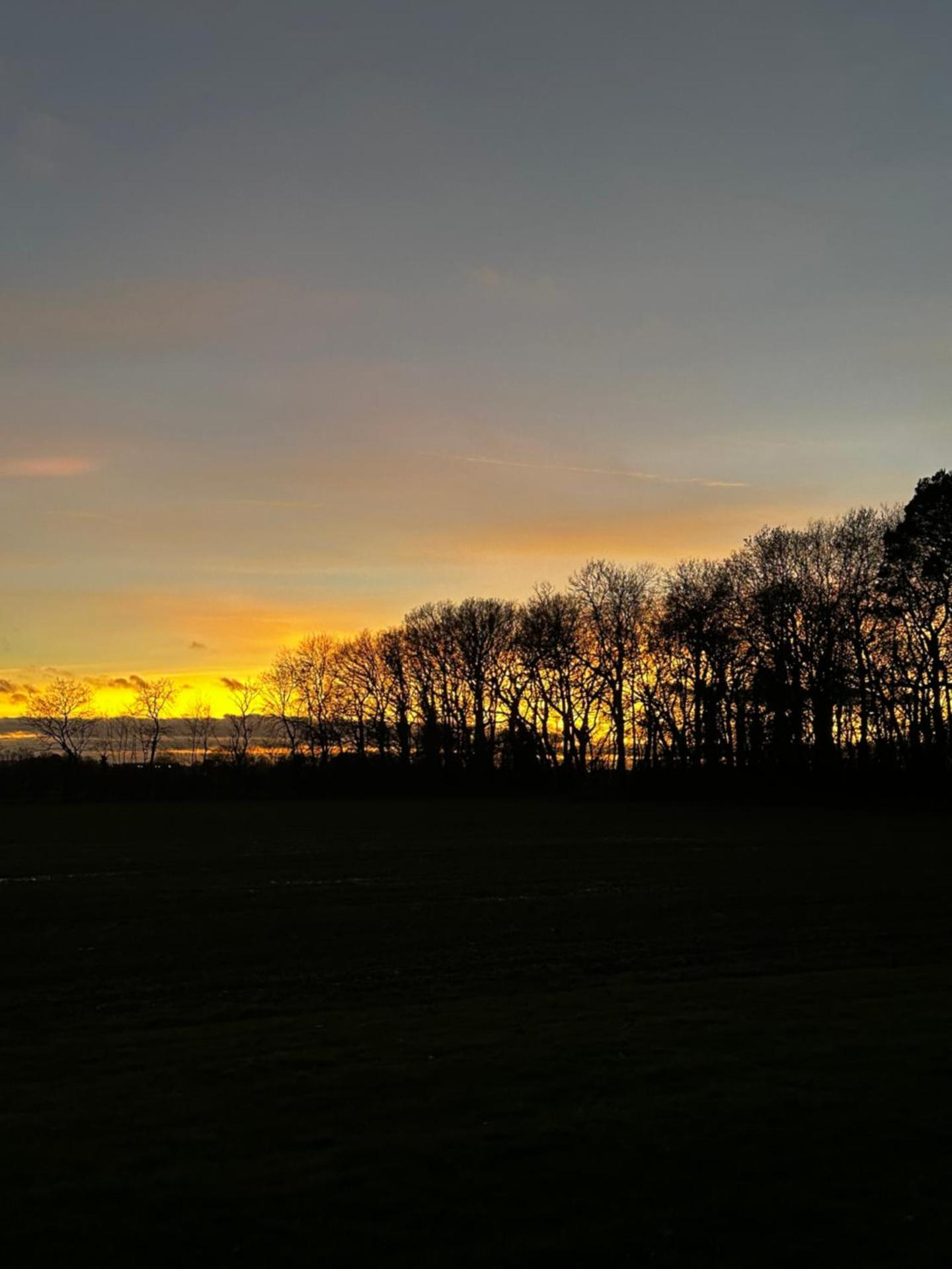 Briary Cottages at Iletts Farm