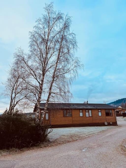 Luxury Lodge With Hot Tub In Royal Deeside