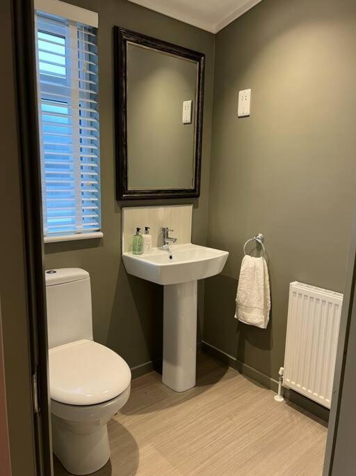 Luxury Lodge With Hot Tub In Royal Deeside