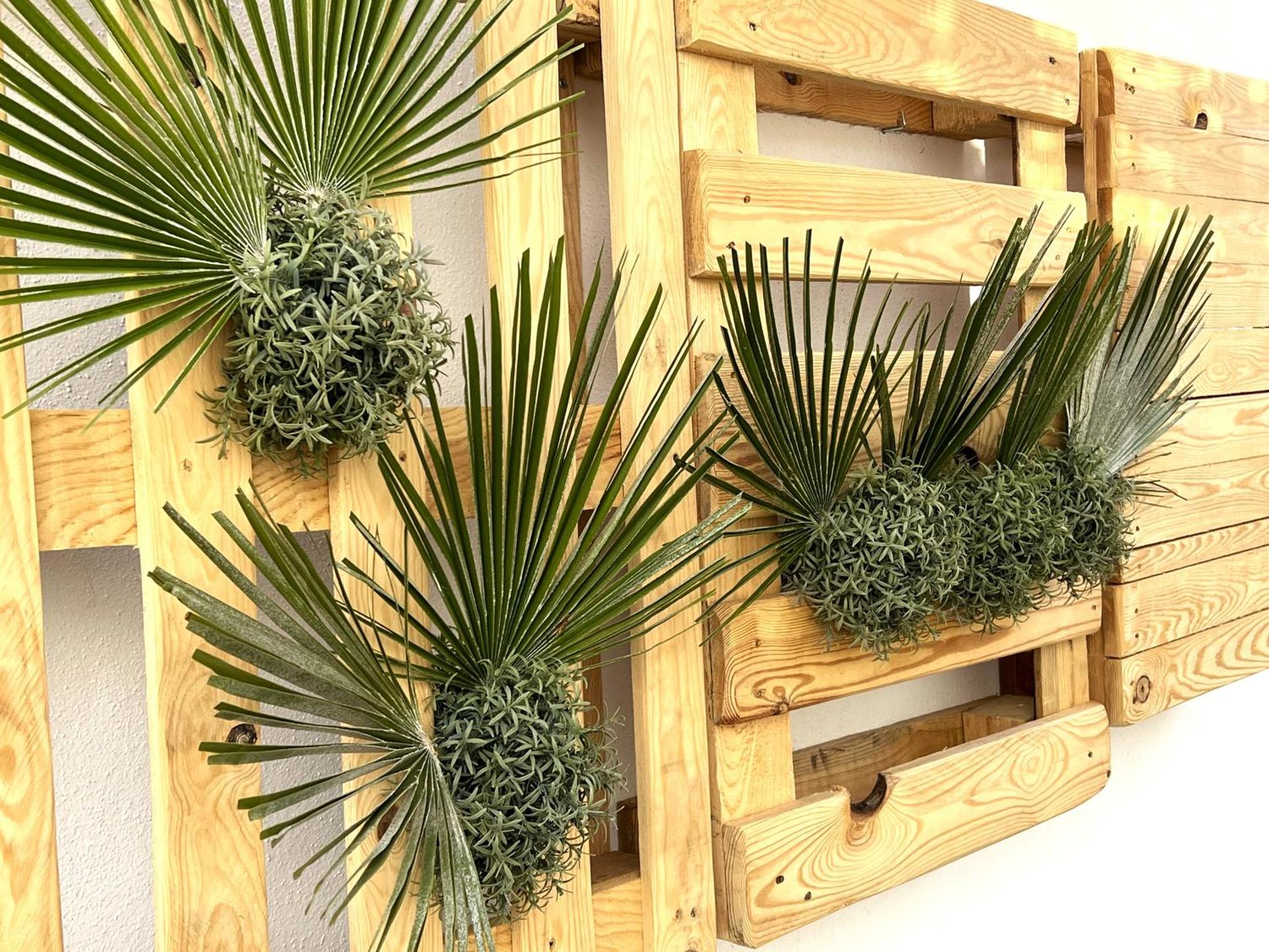 Magnífica casa con encanto en Agua Amarga