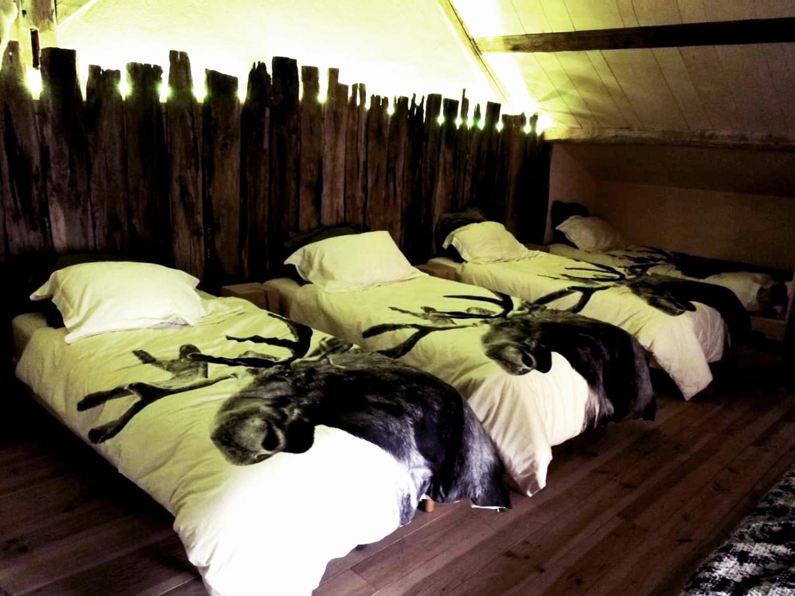 6-Bed Mixed Dormitory Room