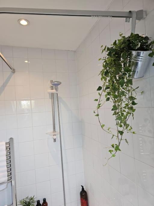 Cosy and quiet one bedroom Thames flat