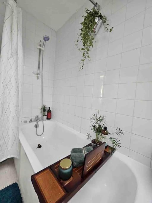 Cosy and quiet one bedroom Thames flat