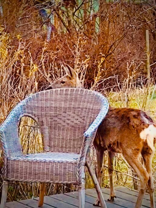 COZY HOLIDAY HOME by the sea