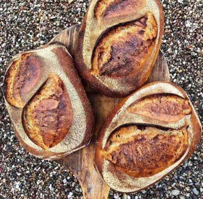 COZY HOLIDAY HOME by the sea