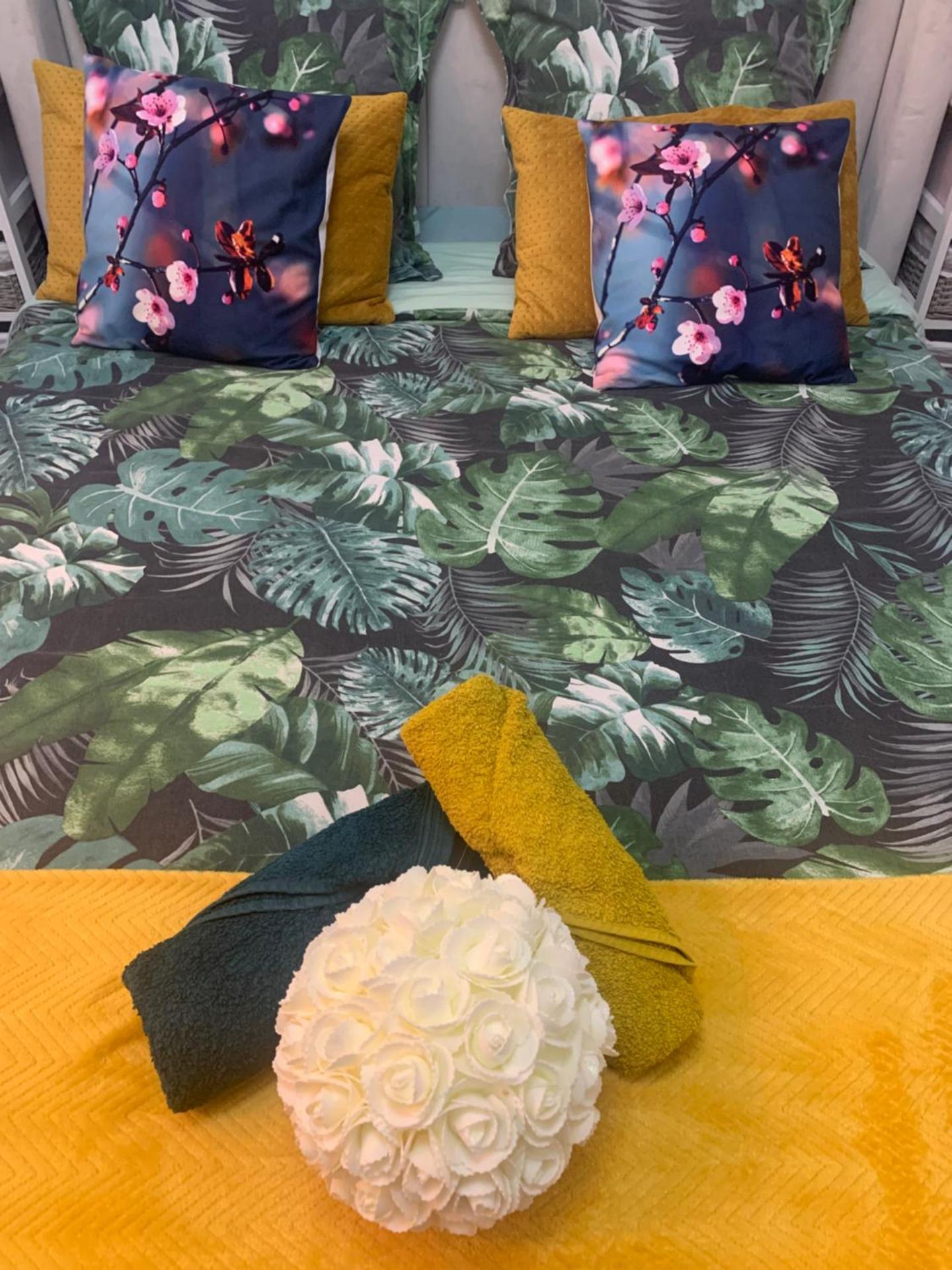 paris beautiful cozy studio