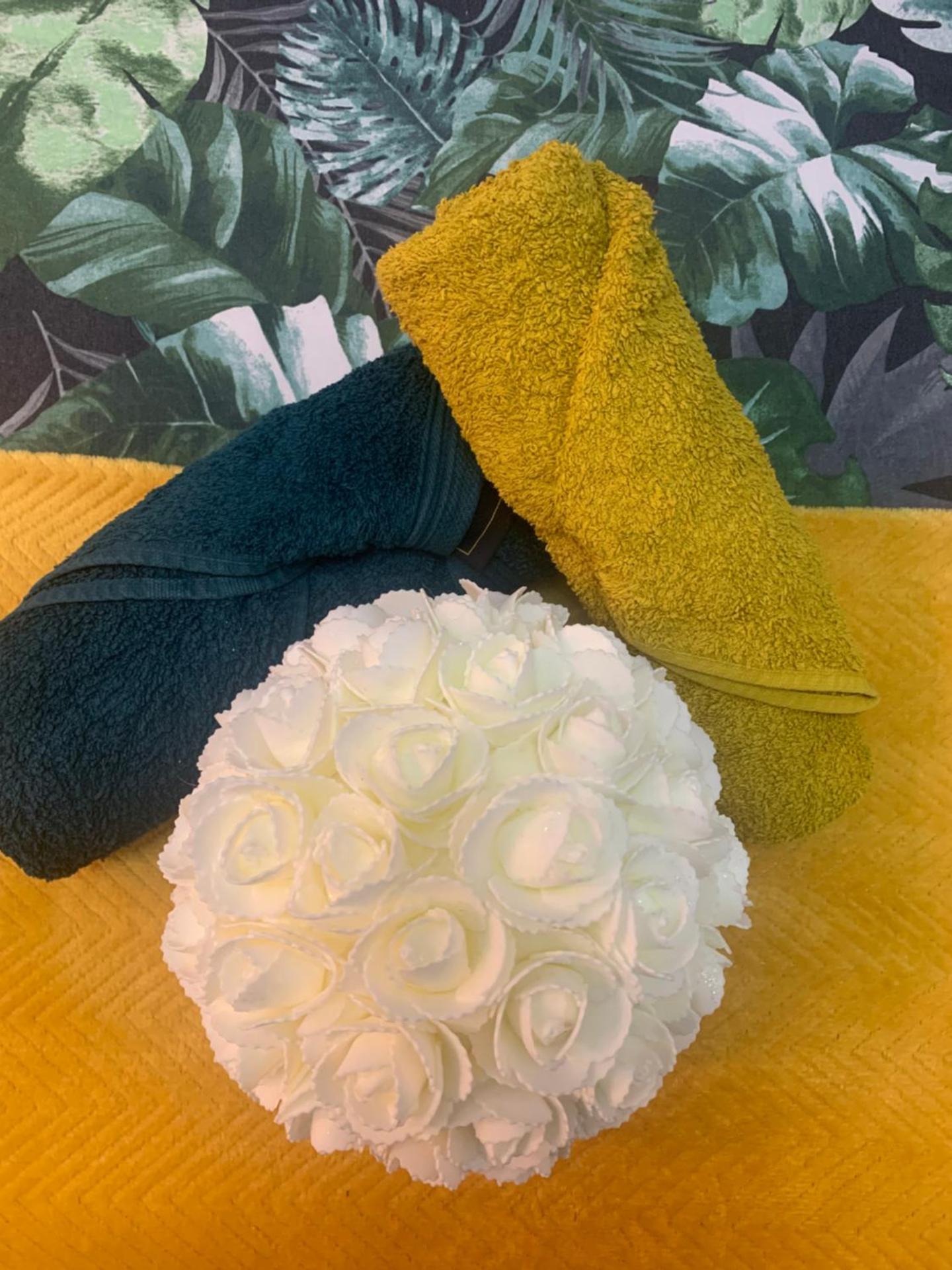 paris beautiful cozy studio