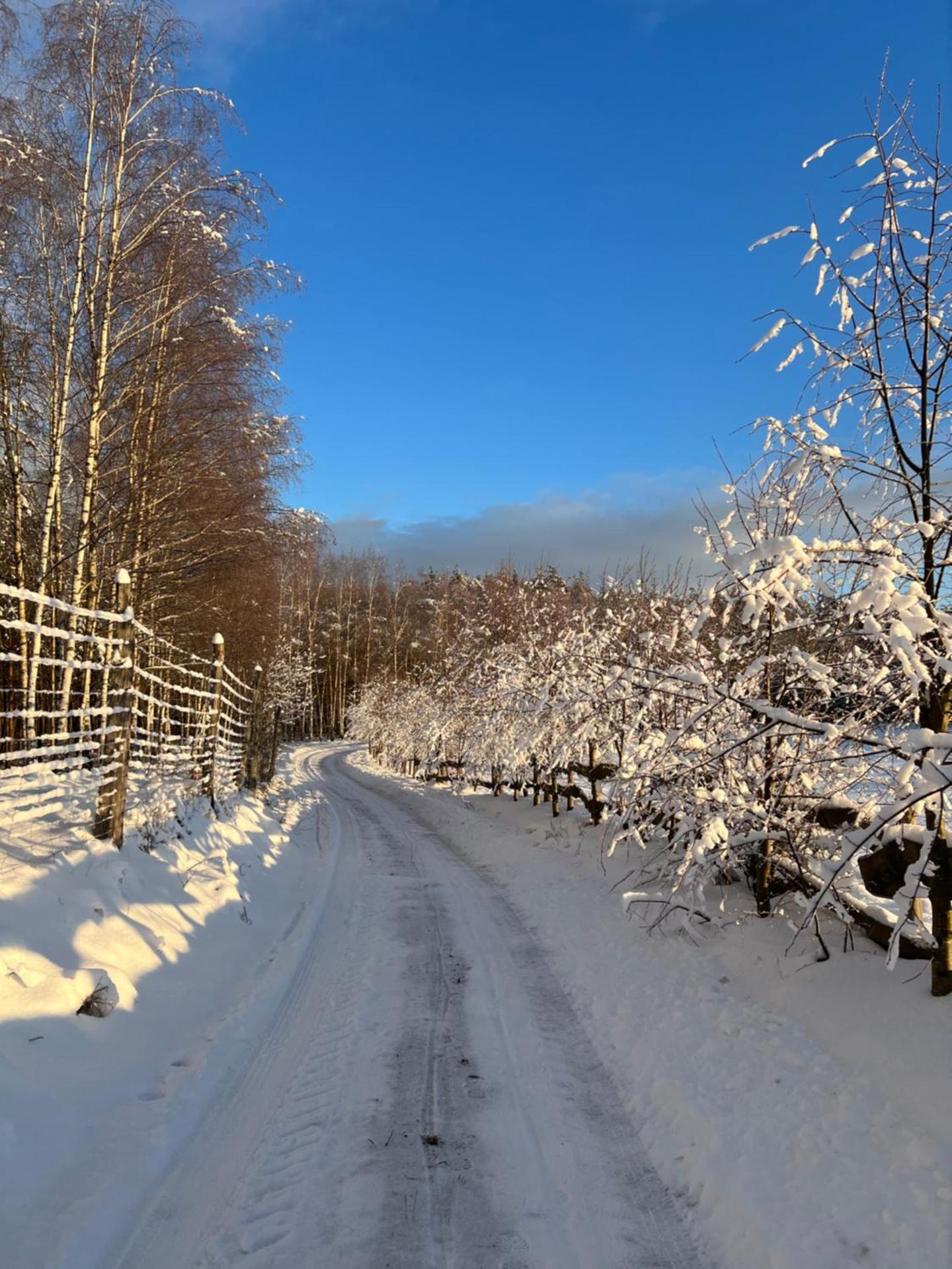Przytulisko na Mazurach