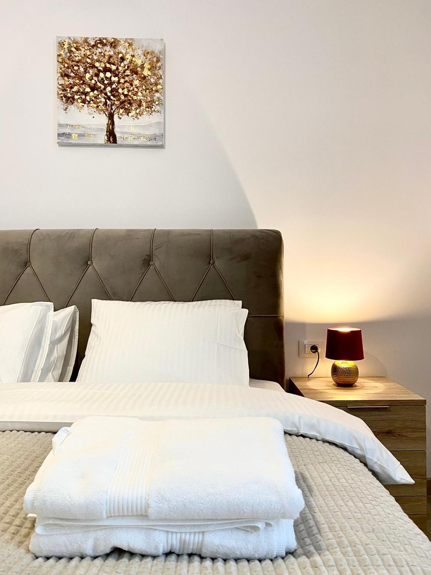 Brasov Urban Experience